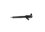 BOSCH pihusti / sissepritsedüüs 0 445 110 300