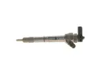 BOSCH pihusti / sissepritsedüüs 0 445 110 555