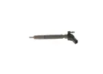 BOSCH pihusti / sissepritsedüüs 0 445 116 022