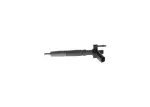 BOSCH  Sissepritsedüüs 0 445 116 024