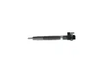 BOSCH pihusti / sissepritsedüüs 0 445 116 034