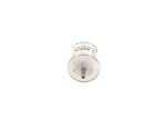 BOSCH  Kütusefilter 0 450 905 326