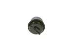 BOSCH Kütusefilter 0 450 905 920