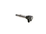 BOSCH  Süütepool 0 986 221 023