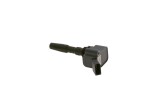 BOSCH  Süütepool 0 986 221 057