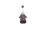 BOSCH Hõõgpirn,  Kaugtuli Pure Light BL 12V 51W HB4 1 987 301 063