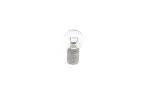 BOSCH Hõõgpirn,  tagatuli Trucklight Maxlife WS 24V 21W P21W 1 987 302 701