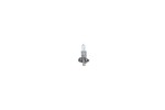 BOSCH Hõõgpirn,  Kaugtuli Basic WS 12V 55W H1 1 987 302 801
