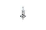 BOSCH Hõõgpirn,  Kaugtuli Trucklight WS 24V 70W H1 1 987 302 411