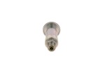 BOSCH Käsipump 2 447 222 099