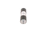 BOSCH  Kütusefilter F 026 402 066