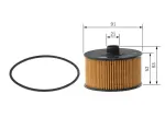 BOSCH  Õlifilter F 026 407 231