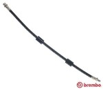 BREMBO  Pidurivoolik ESSENTIAL LINE T 06 013