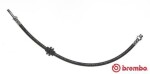 BREMBO  Pidurivoolik T 06 020