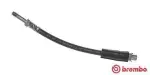 BREMBO  Pidurivoolik ESSENTIAL LINE T 06 032