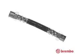 BREMBO  Pidurivoolik T 06 033