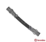 BREMBO  Pidurivoolik ESSENTIAL LINE T 06 034