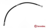 BREMBO Pidurivoolik ESSENTIAL LINE T 30 054