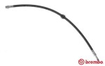 BREMBO  Pidurivoolik T 50 061