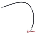 BREMBO  Pidurivoolik ESSENTIAL LINE T 54 052
