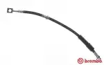 BREMBO  Pidurivoolik ESSENTIAL LINE T 59 080