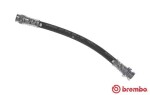 BREMBO Pidurivoolik ESSENTIAL LINE T 68 048