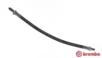 BREMBO  Pidurivoolik T 71 003