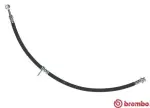 BREMBO  Pidurivoolik ESSENTIAL LINE T 79 042