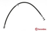 BREMBO  Pidurivoolik ESSENTIAL LINE T 83 099