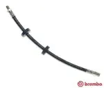 BREMBO  Pidurivoolik T 85 058