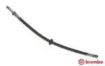 BREMBO  Pidurivoolik T 86 026