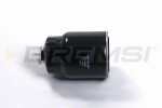 BREMSI Kütusefilter FE0838