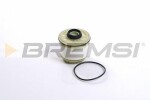 BREMSI Kütusefilter FE2609