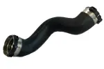 BUGIAD turbo voolik (laadimisõhu) 81783