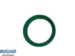 BUGIAD Laadimisõhu voolik 82568