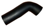 BUGIAD turbo voolik (laadimisõhu) 88833