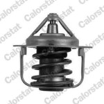 CALORSTAT by Vernet Termostaat,  Jahutusvedelik TH5076.88J
