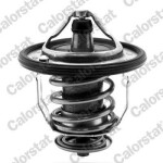 CALORSTAT by Vernet Termostaat,  Jahutusvedelik TH5434.88J