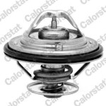 CALORSTAT by Vernet Termostaat,  Jahutusvedelik TH6529.87J