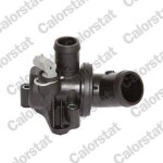 CALORSTAT by Vernet  Termostaat,Jahutusvedelik TH6991.87J