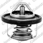 CALORSTAT by Vernet Termostaat,  Jahutusvedelik TH7184.88J