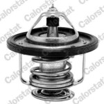 CALORSTAT by Vernet Termostaat,  Jahutusvedelik TH7185.80J