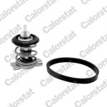 CALORSTAT by Vernet  Termostaat,Jahutusvedelik TH9200.88J