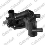 CALORSTAT by Vernet Termostaat, Jahutusvedelik THK627424.87J