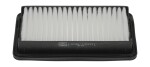 CHAMPION Õhufilter CAF100892P