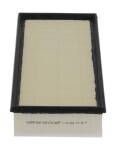 CHAMPION CAF101185P