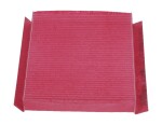 CHAMPION Filter,  salongiõhk BACTERSTOP CCF0146B