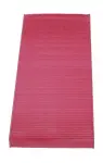CHAMPION Filter,  salongiõhk BACTERSTOP CCF0209B