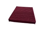 CHAMPION Filter, salongiõhk BACTERSTOP CCF0320B