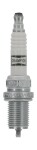 CHAMPION  Süüteküünal PLATINUM CCH3071